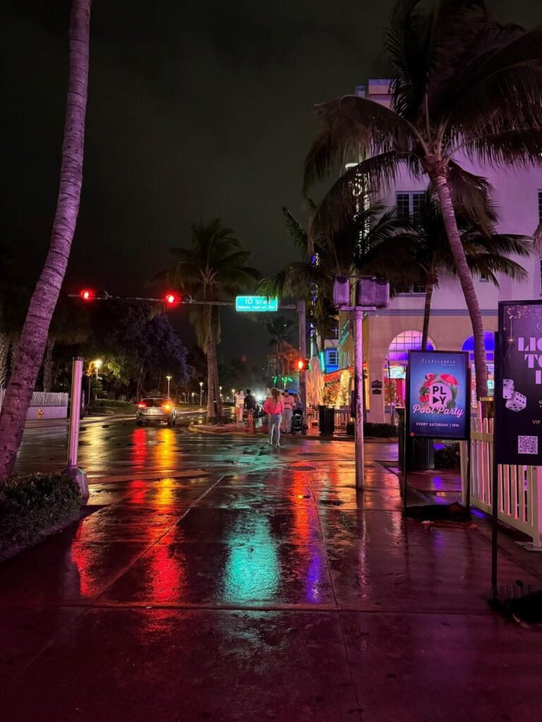 Figure 12: Ocean Drive at night. Photo credit: Joydhriti Chowdhury.