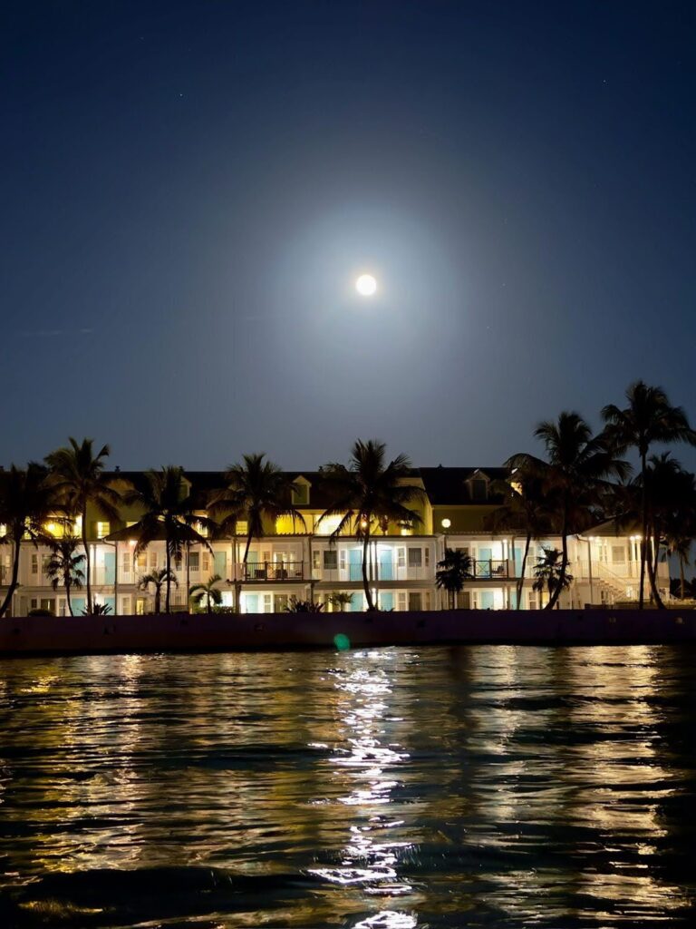 Figure 16: The moon atop Emma Carrero Cates beach. Photo credit: Joydhriti Chowdhury.