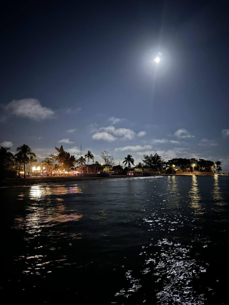 Figure 17: The moon atop Clarence S Higgs beach. Photo clicked from the pier. Photo credit: Joydhriti Chowdhury.